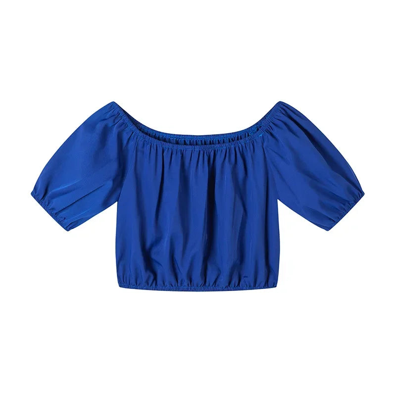 Wide Leg High waist Pants with Solid Micro Flare