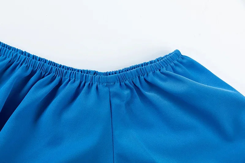 Wide Leg High waist Pants with Solid Micro Flare