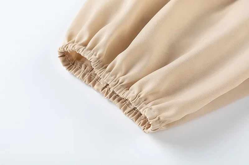 Wide Leg High waist Pants with Solid Micro Flare