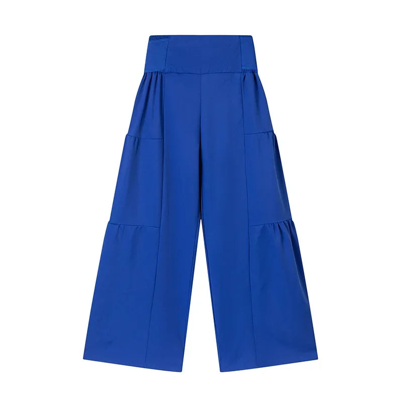 Wide Leg High waist Pants with Solid Micro Flare