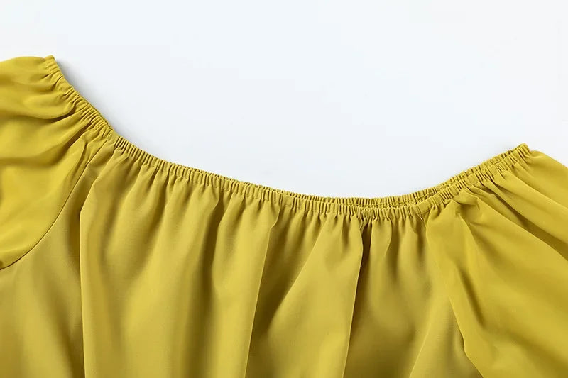 Wide Leg High waist Pants with Solid Micro Flare